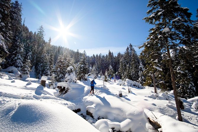 4 hours skitour trip in Tatra Mountains for beginners with renting equipment - Learning the basics before the route begins