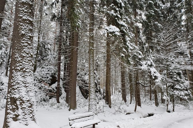 Adrspach Teplice Rocks Filming Site of The Chronicles of Narnia - Narnia, family appeal, and the value of the setting