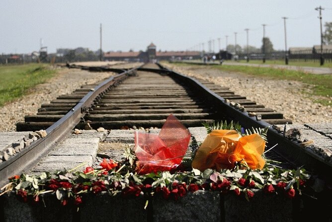 Auschwitz and Birkenau Guided Tour from Krakow - Practical strengths and limits