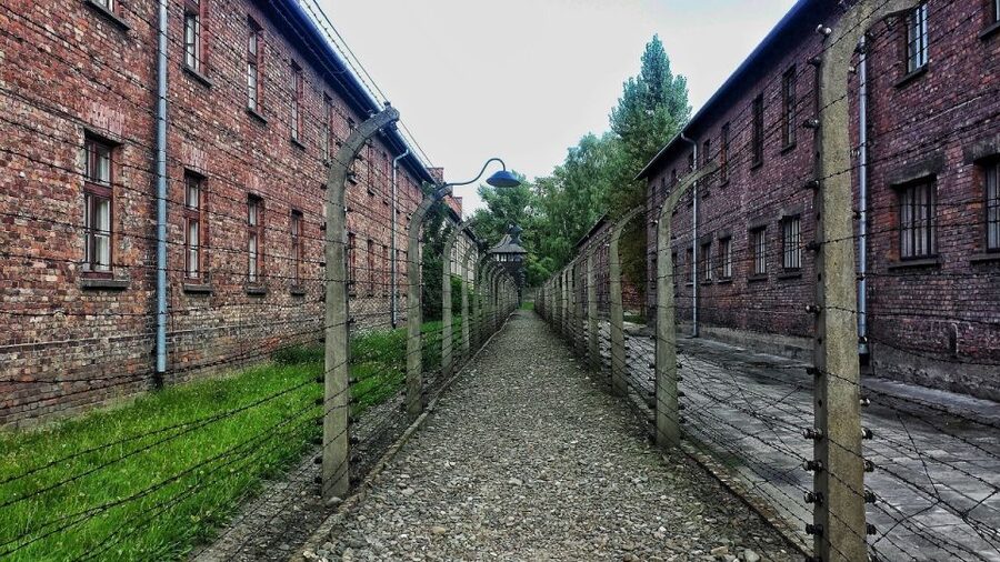 Auschwitz-Birkenau and Krakow Private Car Trip from Katowice - Who should book this day trip?