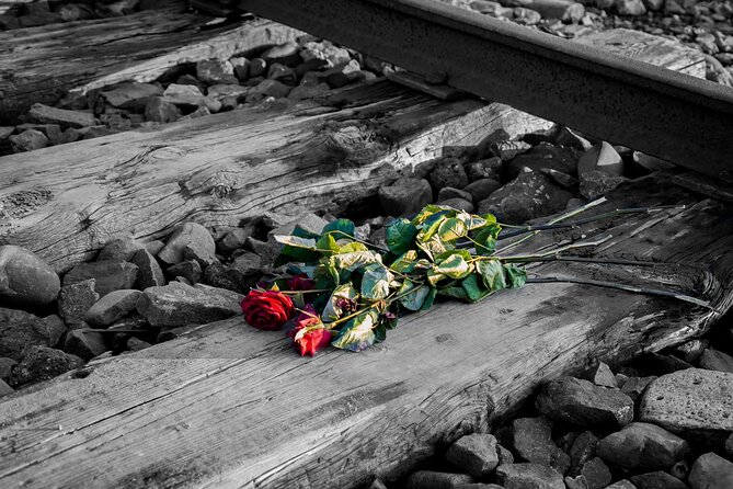 Auschwitz Birkenau and Salt Mine Full Day Guided Tour from Krakow hotel pick up - What to pack and how to prepare