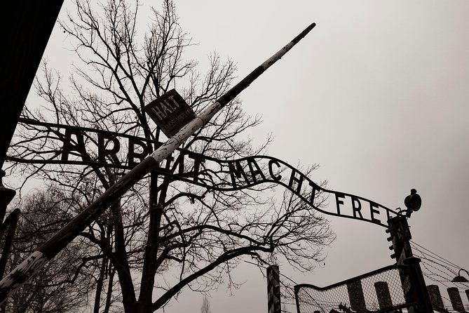 Auschwitz-Birkenau and Wieliczka Salt Mine Day Tour from Krakow with private car - Two major sights in one very full day