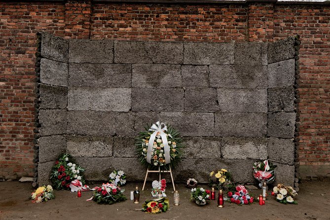 Auschwitz-Birkenau and Wieliczka Salt Mine Day Tour from Krakow with private car - Who should book this day tour