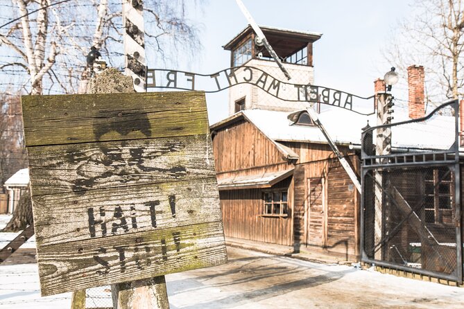 Auschwitz-Birkenau and Wieliczka Salt Mine Full Day Tour - Meeting at Wielopole 2 in Krakow