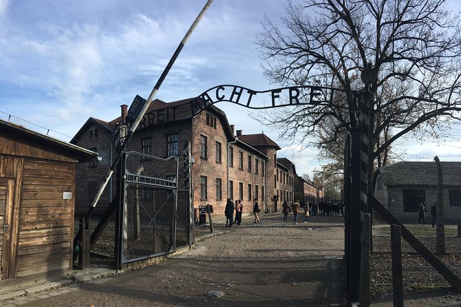 Auschwitz-Birkenau Day Tour from Wroclaw - Birkenau: scale, railway tracks, and open ground