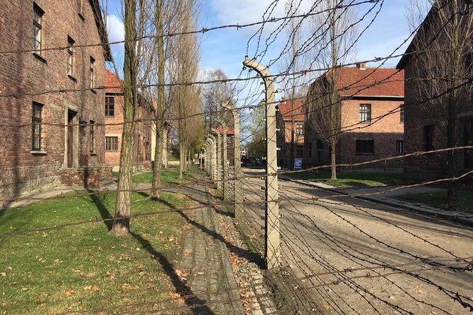 Auschwitz-Birkenau Day Tour from Wroclaw - Group size, timing, and practical comfort