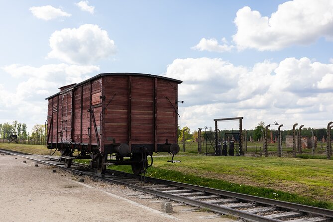 Auschwitz-Birkenau: Day Trip & Transfer from Kraków - Physical demands and weather