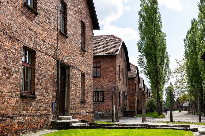 Auschwitz-Birkenau: Day Trip & Transfer from Kraków - Who will appreciate this format?