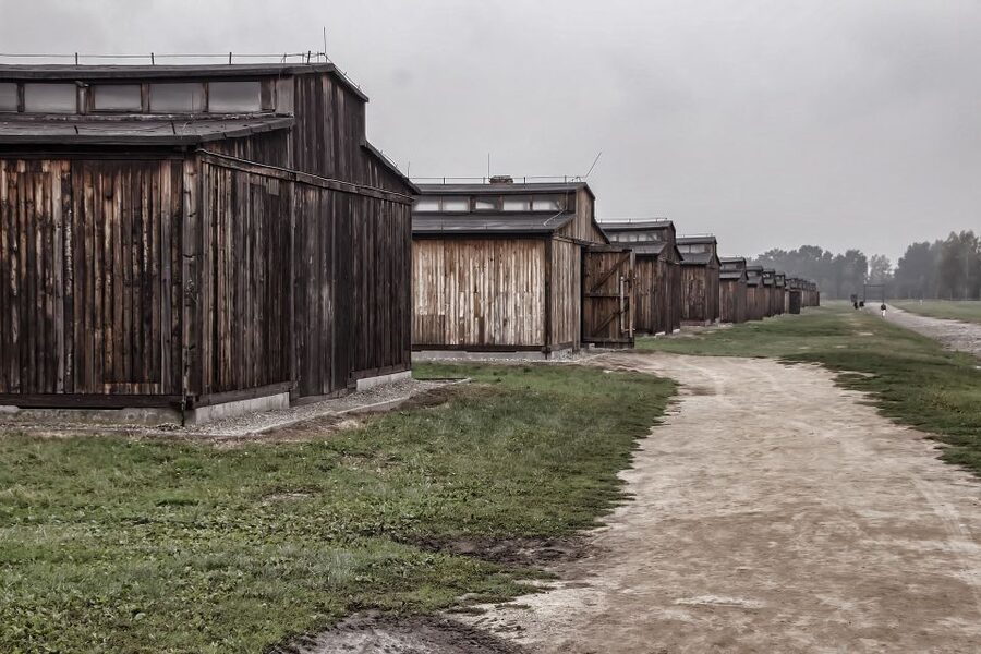 Auschwitz-Birkenau: Entrance Ticket and Live Tour Guide - Why Auschwitz requires a guided visit