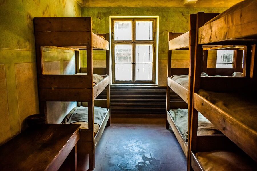 Auschwitz-Birkenau: Entrance Ticket and Live Tour Guide - Guide, headphones, and group logistics