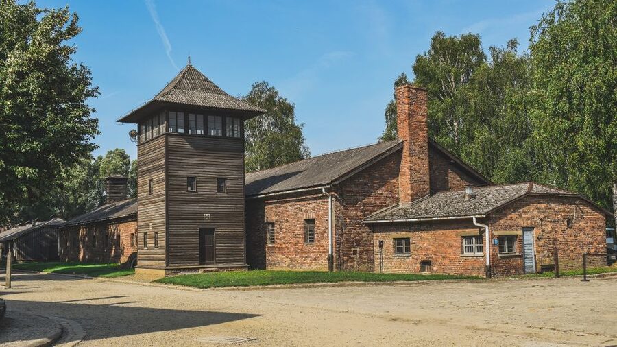 Auschwitz-Birkenau: Entrance Ticket and Live Tour Guide - Who will benefit most from this tour
