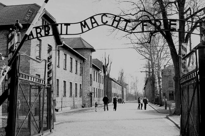Auschwitz-Birkenau Guided Shared Tour from Krakow - Seeing the Scale at Birkenau