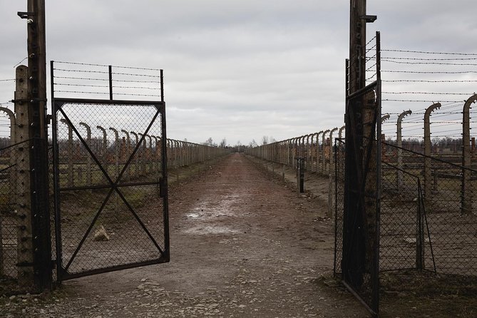 Auschwitz Birkenau Guided Tour - What the $79.81 price includes