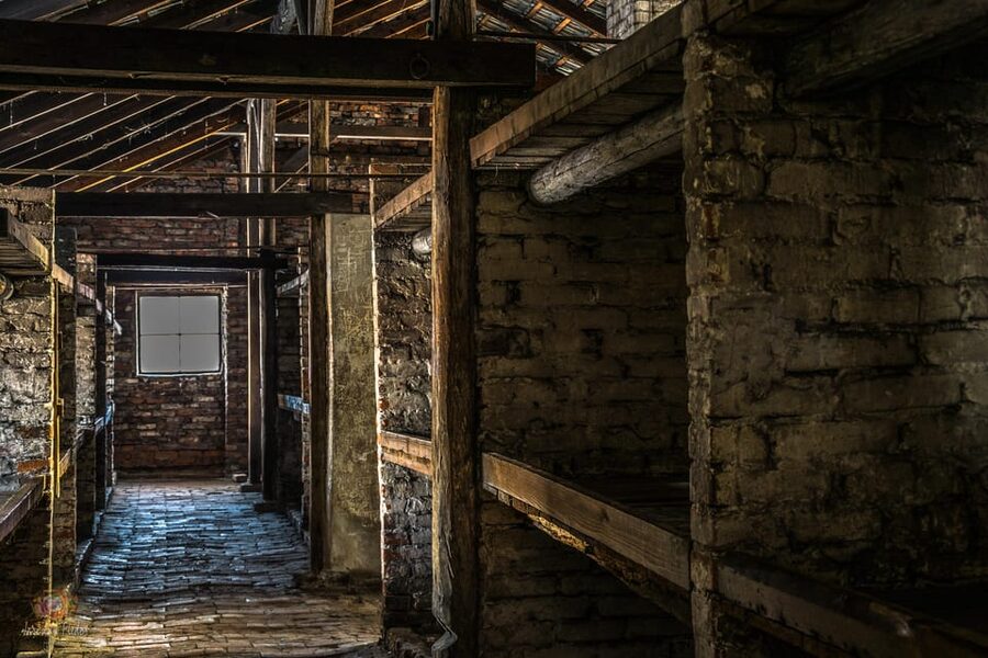 Auschwitz-Birkenau: Guided Tour and Skip-The-Line Ticket - What the guide adds to the experience