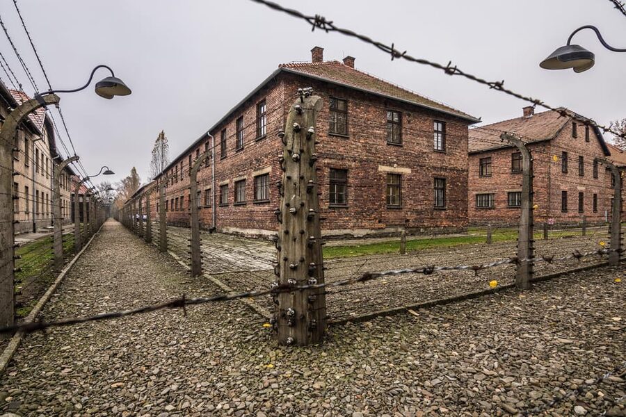 Auschwitz-Birkenau: Guided Tour and Skip-The-Line Ticket - Is $10 good value?