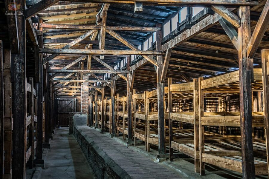 Auschwitz-Birkenau: Guided Tour and Skip-The-Line Ticket - Should you book it?