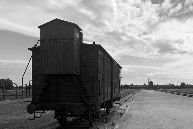 Auschwitz-Birkenau guided tour from Krakow - private car - Birkenau and the scale of the killing site