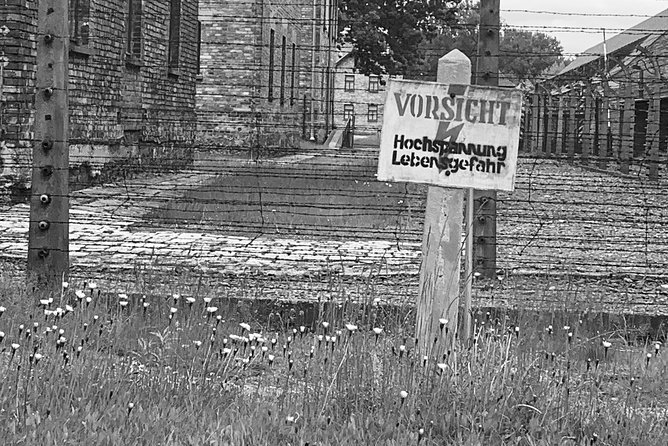 Auschwitz-Birkenau guided tour from Krakow - private car - Timing, food, and the six-and-a-half-hour schedule