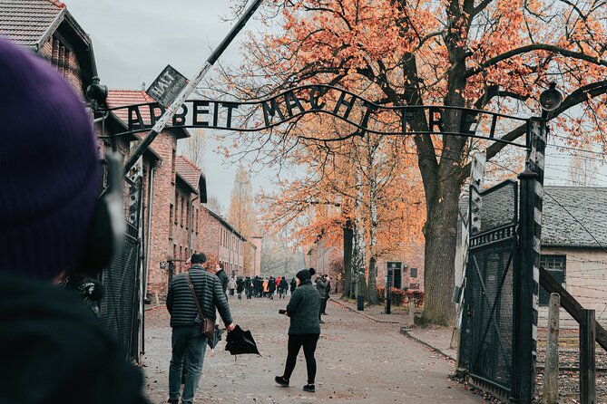 Auschwitz Birkenau guided tour from Krakow private chauffeur - Why this Krakow to Auschwitz tour is useful