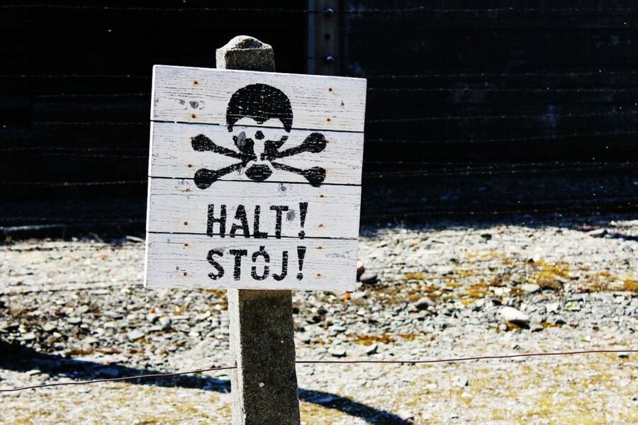 Auschwitz-Birkenau Guided Tour & Transfer from Krakow - Is $34 good value?