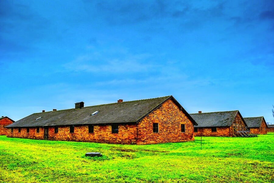 Auschwitz-Birkenau: Guided Tour with Fast Track Ticket - The Birkenau section and railway ramp