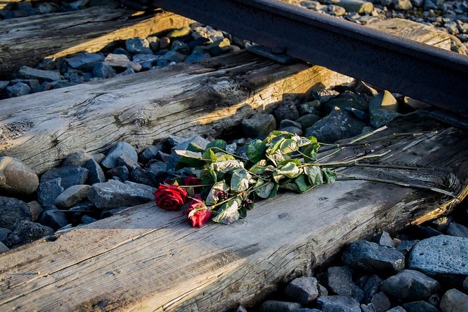 Auschwitz Birkenau Guided Tour with Ticket Hotel Pickup Small Van - Who should book this tour