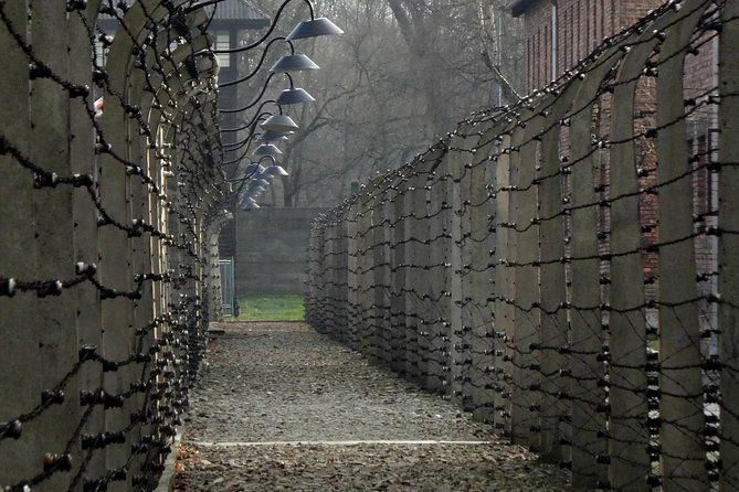 Auschwitz-Birkenau last minute guided Tour - What private really means here