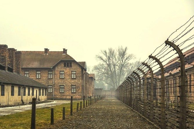 Auschwitz Birkenau Memorial and Museum group tour from Krakow - Practical rules that can make or break your entry
