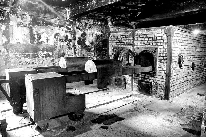 Auschwitz-Birkenau Memorial and Museum Guided Tour from Krakow - Why the guided format is useful