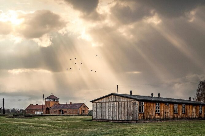 Auschwitz-Birkenau Memorial and Museum Guided Tour - Private Transport - Why private transport helps on this particular visit