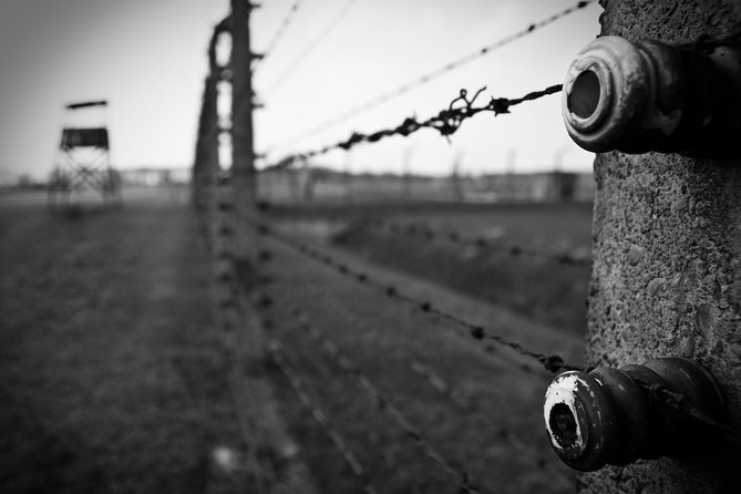 Auschwitz-Birkenau Memorial Entrance Ticket and Guided Tour - Why this day from Krakow matters