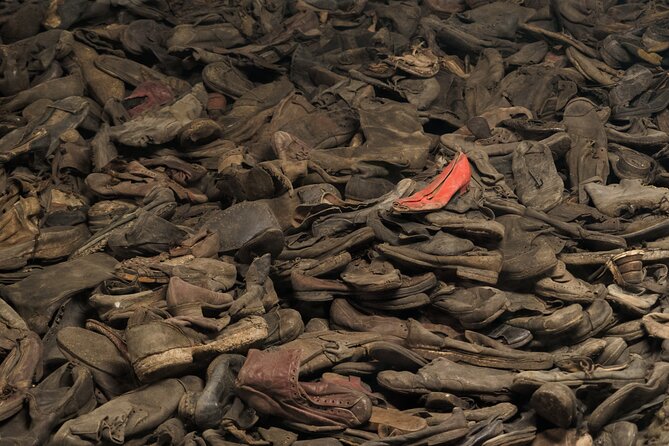 Auschwitz-Birkenau Memorial Entrance Ticket and Guided Tour - Who should book this tour?