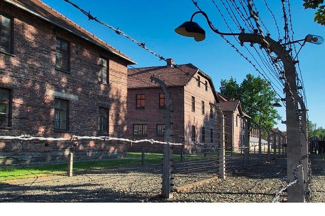 Auschwitz-Birkenau Museum and Memorial Guided Tour from Krakow - Birkenau: scale, silence, and open ground