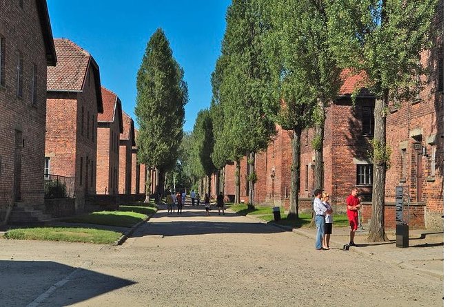 Auschwitz-Birkenau Museum and Memorial Guided Tour from Krakow - The guide can make or break the day