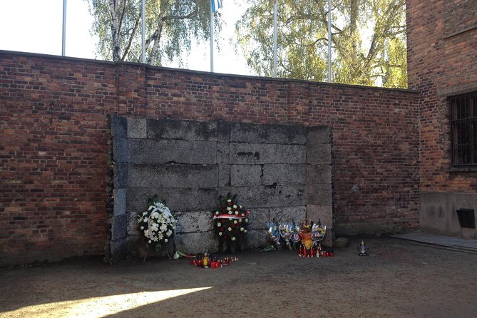 Auschwitz-Birkenau Museum and Memorial Guided Tour from Krakow - Who should book this Krakow day trip?