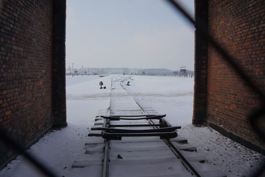 Auschwitz-Birkenau: Museum Entry Ticket with Guided Tour - Auschwitz II-Birkenau: the railway and camp remains
