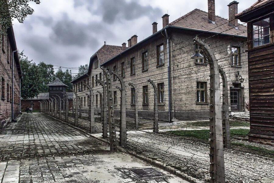 Auschwitz-Birkenau: Museum Entry Ticket with Guided Tour - How the guided format affects the visit
