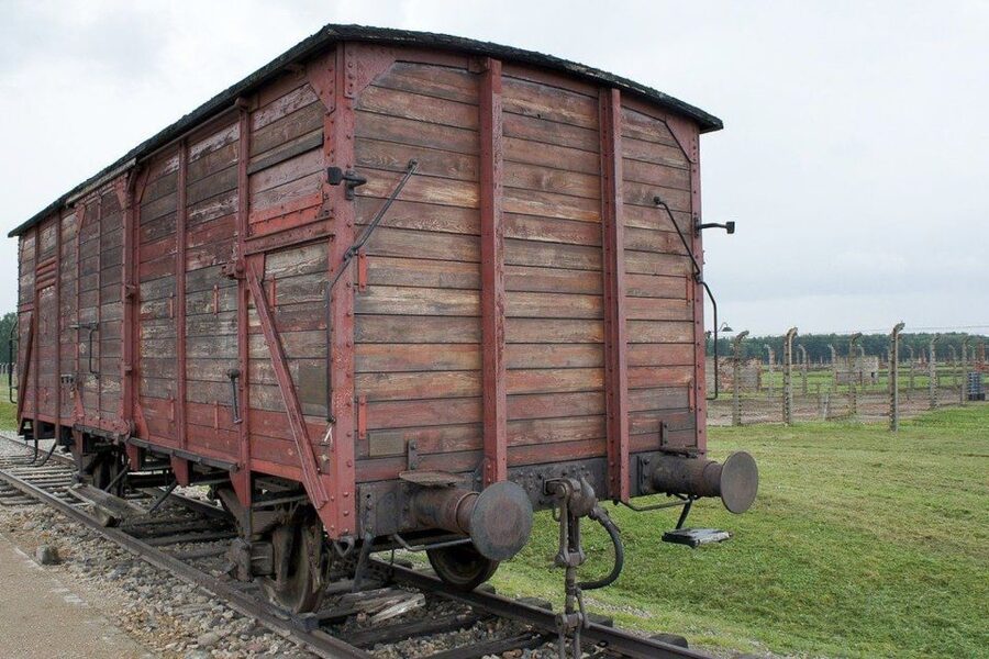 Auschwitz-Birkenau: Museum Entry Ticket with Guided Tour - Who should book this tour