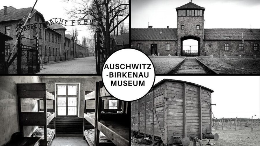 Auschwitz-Birkenau: Museum Entry Ticket with Guided Tour - Starting at the Visitor Center