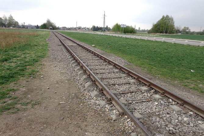 Auschwitz-Birkenau Museum Half-Day Bus Tour from Krakow - Timing, Physical Demands, and What to Pack