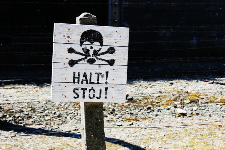 Auschwitz-Birkenau Museum Tour from Krakow - The guide can make the difference