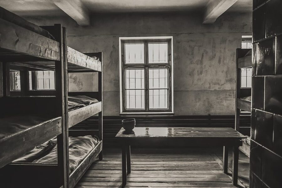 Auschwitz-Birkenau & Salt Mine Tour in One Day from Krakow - Two very different chapters of Polish history