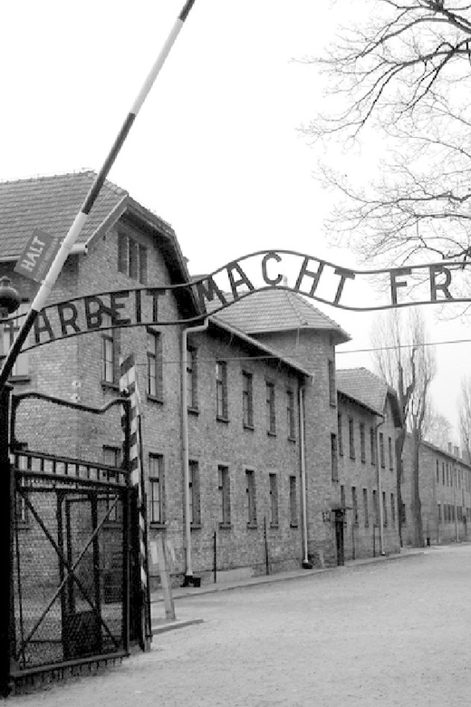 Auschwitz-Birkenau & Salt Mine Tour in One Day from Krakow - The pace, the meals, and the physical effort