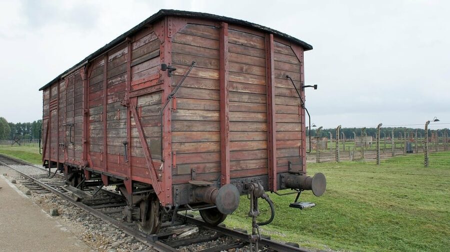 Auschwitz-Birkenau & Salt Mine Tour in One Day from Krakow - Practical preparation before you book