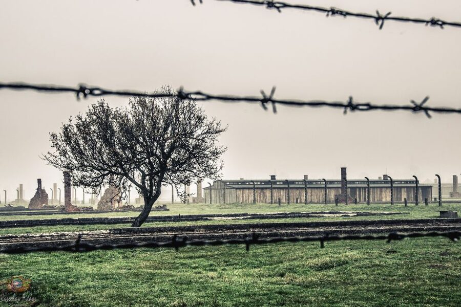 Auschwitz-Birkenau: Skip-the-Line Entry Ticket & Guided Tour - What the $21 Auschwitz-Birkenau tour actually includes