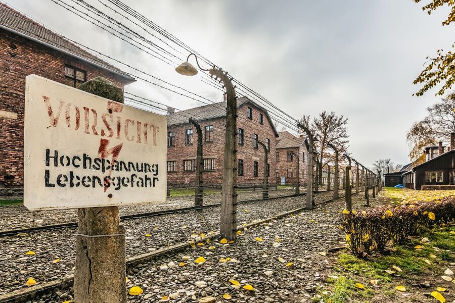 Auschwitz-Birkenau: Skip-the-Line Entry Ticket & Guided Tour - Meeting near Auschwitz I and getting through security