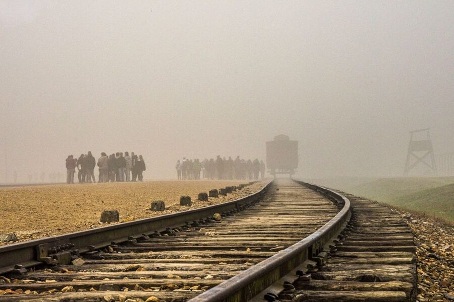 Auschwitz-Birkenau: Skip-the-Line Entry Ticket & Guided Tour - Birkenau shows the scale of the camp