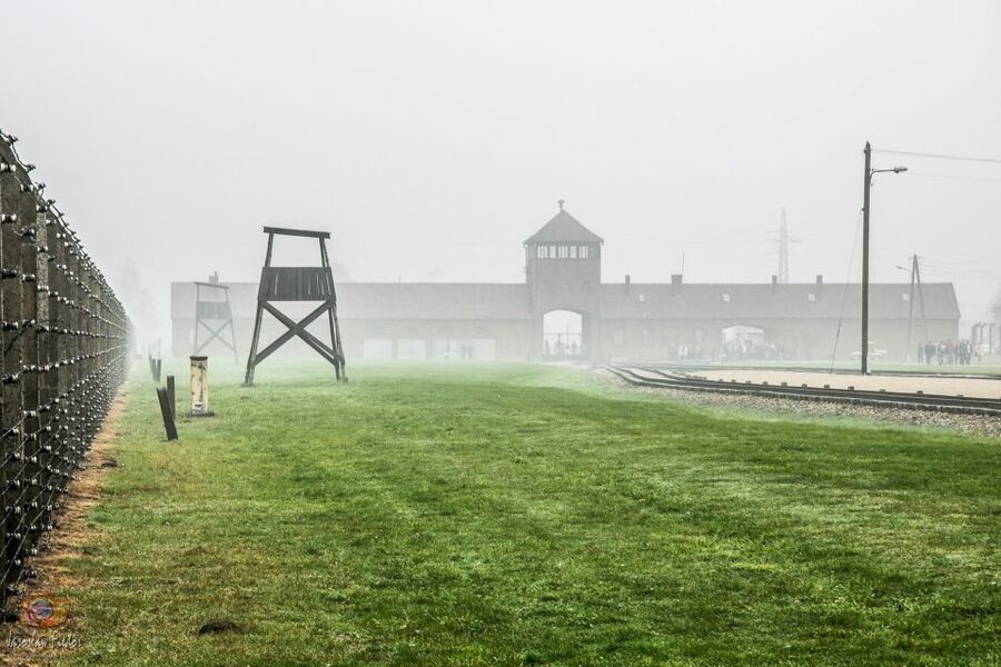 Auschwitz-Birkenau: Skip-the-Line Entry Ticket & Guided Tour - Why a guide helps at this memorial