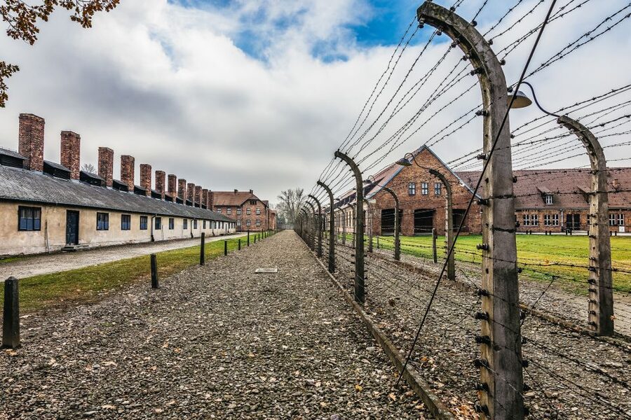 Auschwitz-Birkenau: Skip-the-Line Entry Ticket & Guided Tour - Who should book this guided visit