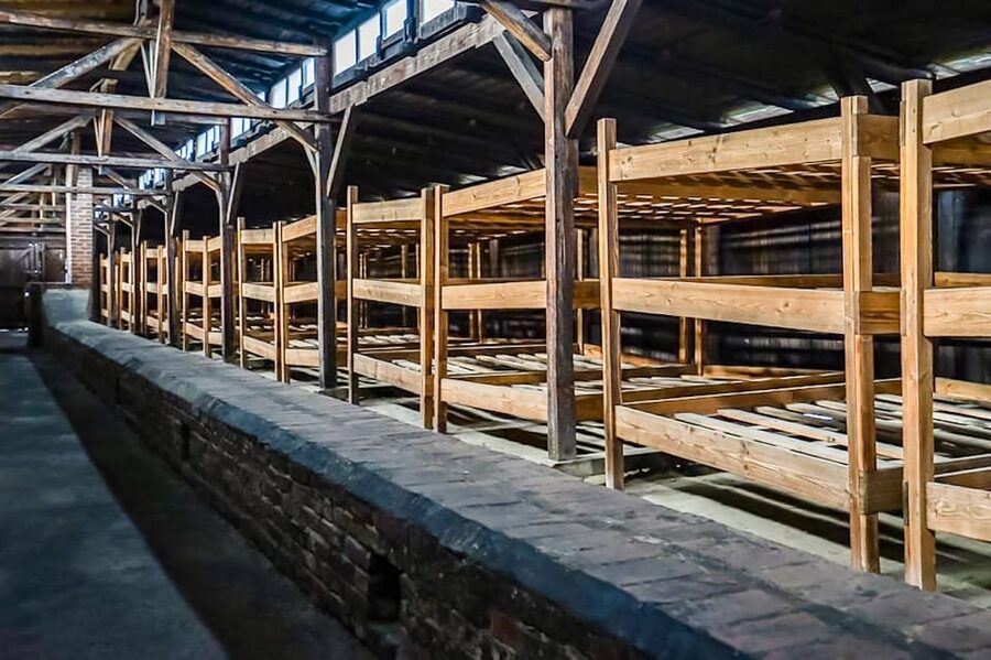 Auschwitz-Birkenau Skip-the-Line Guided Tour - Practical tips for a respectful visit
